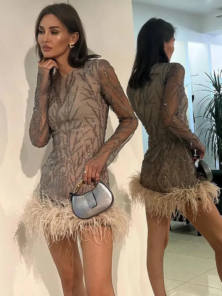 Feather Sequins Mini Sheer Dress